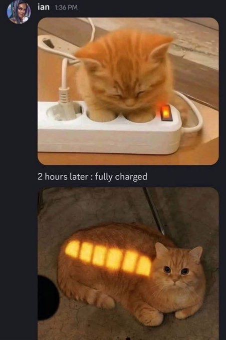 spacer.png