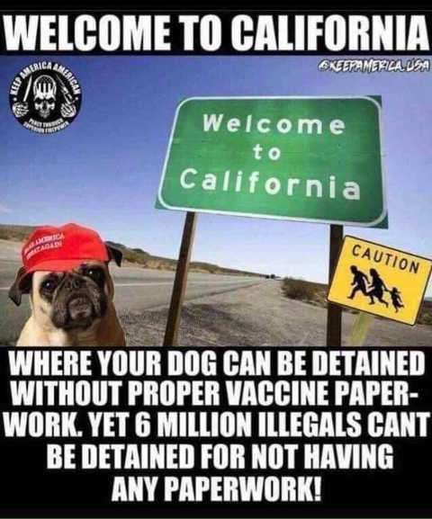 q9ng5aJunCxQLkv36p5D-.jpeg