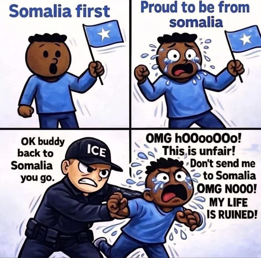 1I3hJFJUK76j7yvw56R3R.jpeg