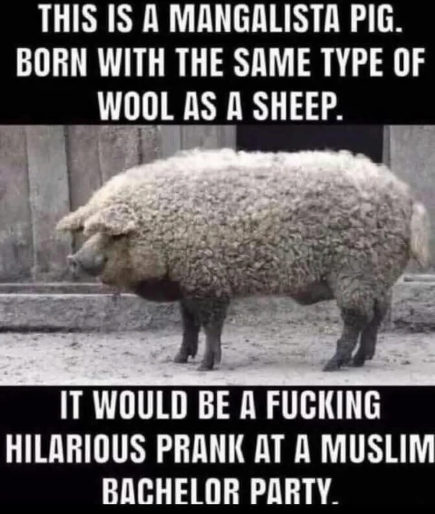 yBQG0QTdOYWErOddrh0ci.webp
