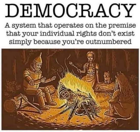 tEQnpX1Q7mtDyFpI1yHBU.jpeg