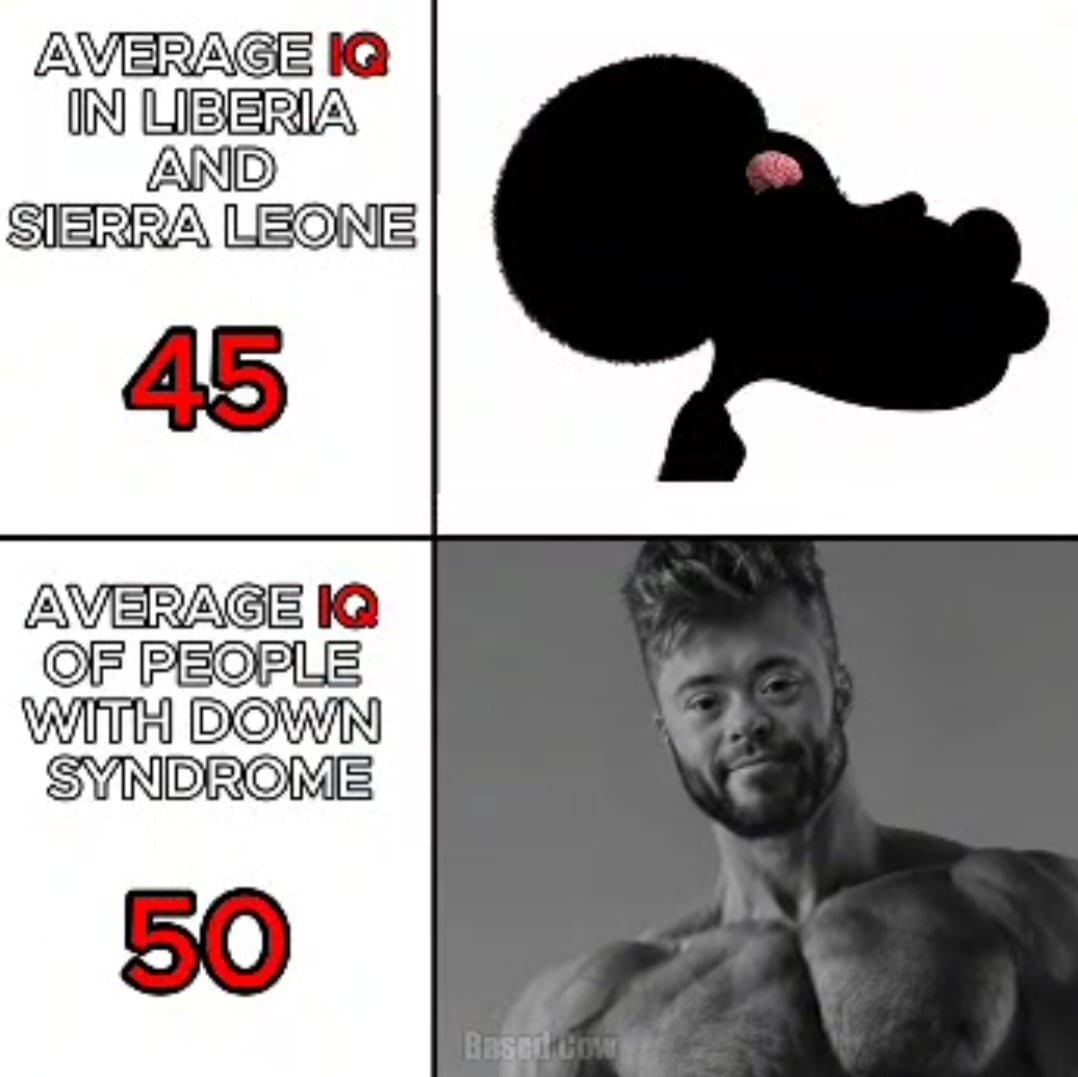 AsWzjQCob5fgGGG6h5lrA.jpeg