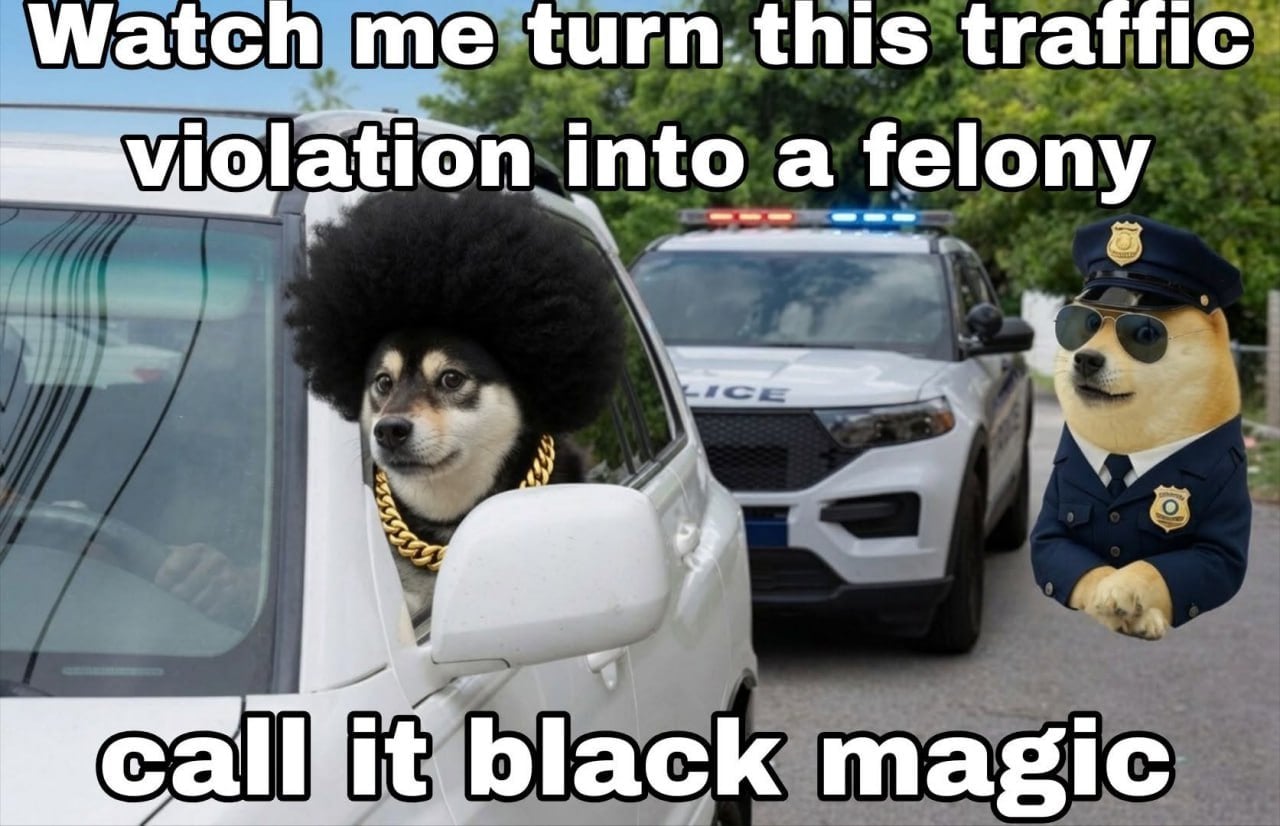 elcBuwu9K7j2btwJpBEtZ.jpeg