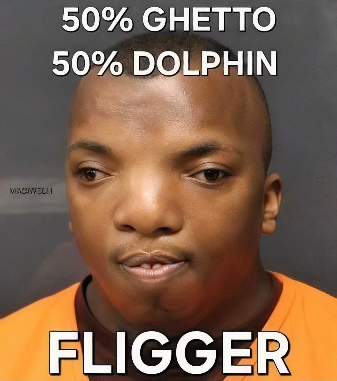 _obPnwOMHIKt_VUQdXtby.jpeg